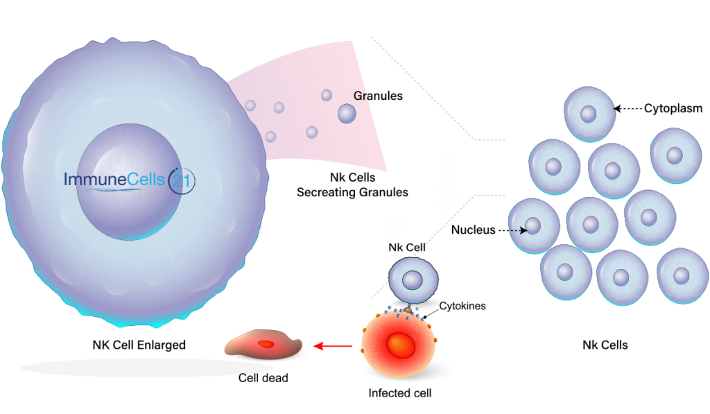 NK细胞疗法中可以与抗癌药等其他治疗方法一起使用吗？
