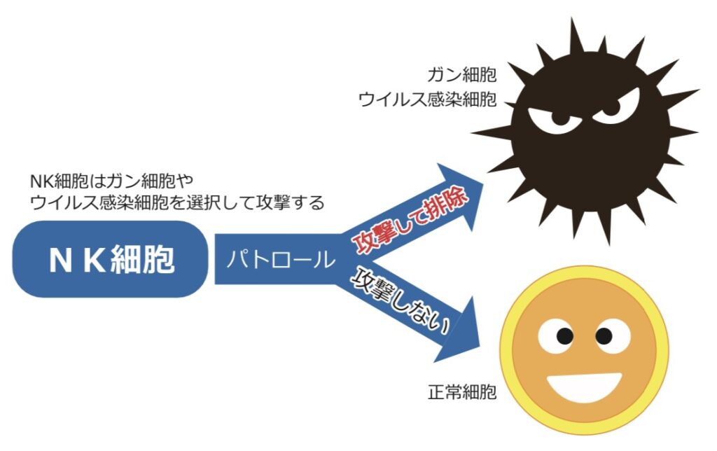 我担心NK细胞治疗引起的副作用