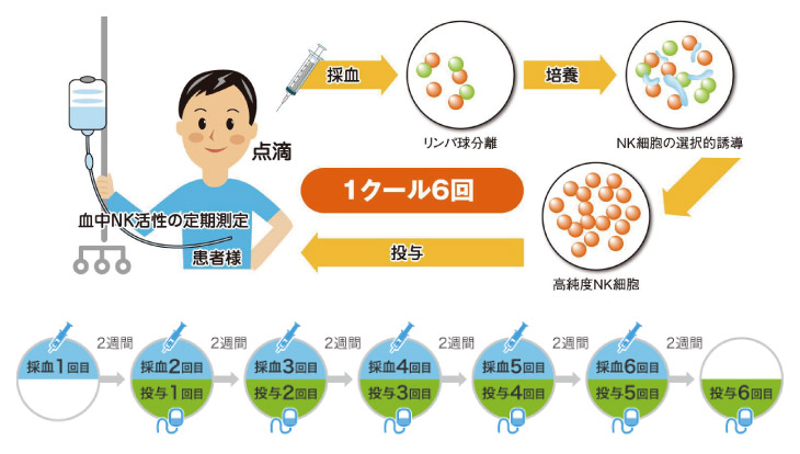 从淋巴细胞采集到点滴需要多长时间？