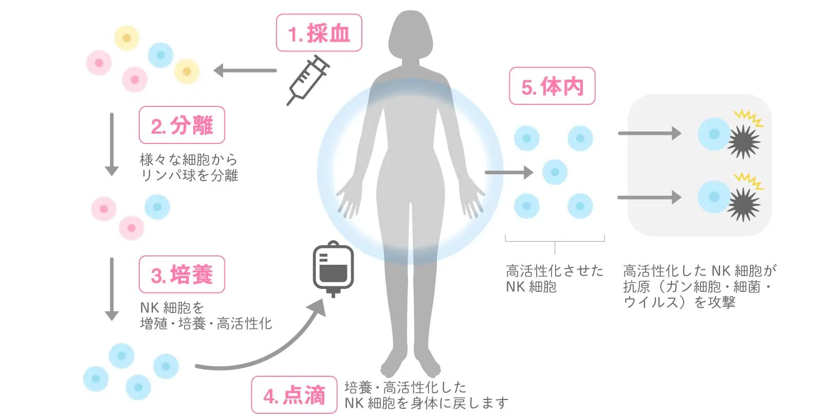NK细胞是如何采集的？
