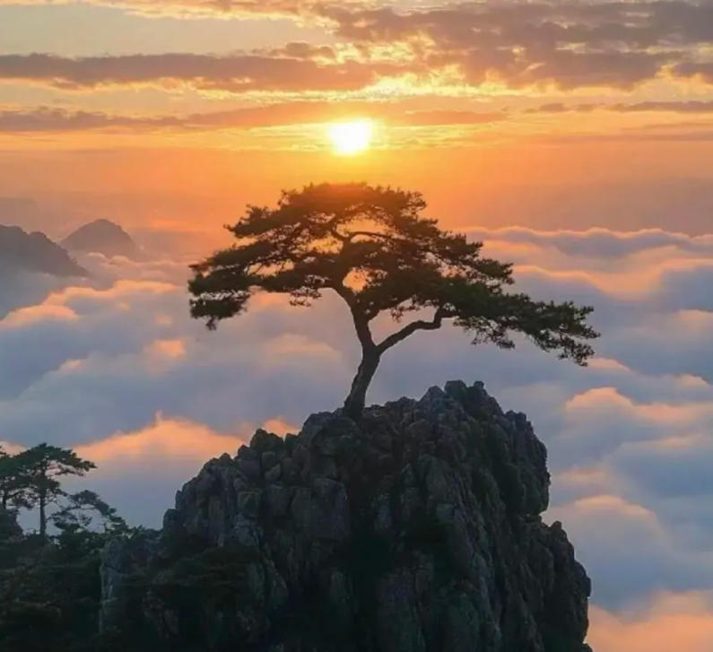李先生